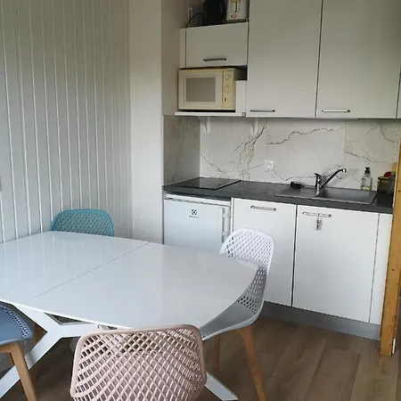 Lumineux, 4-6 Personnes, Refait A Neuf Appartement Les Gets